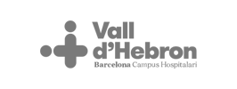 vallehebron Logo Vall d'Hebron